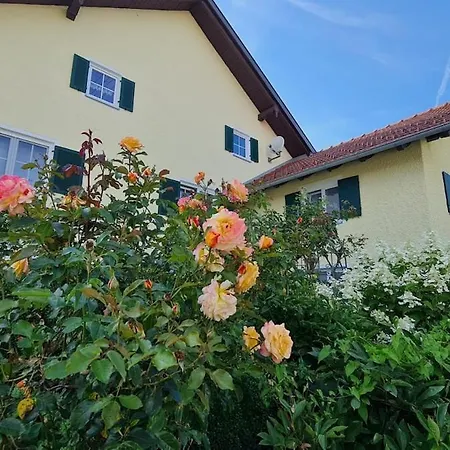 شقة Idyllisches Ferienhaeuschen Im Allgaeu Pforzen